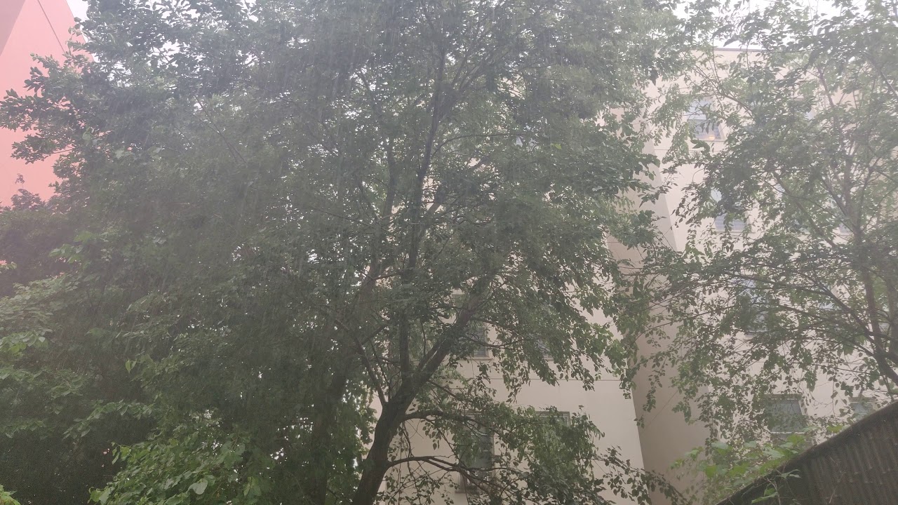 Rain, and a mosquito zapper that reminded me it was on. YouTube