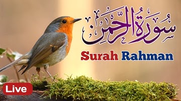 Surah Ar-Rehman Full | Abdul Rahman Al-Sudais (HD)|سورة الرحمان| Surah Rahman For Calm Life