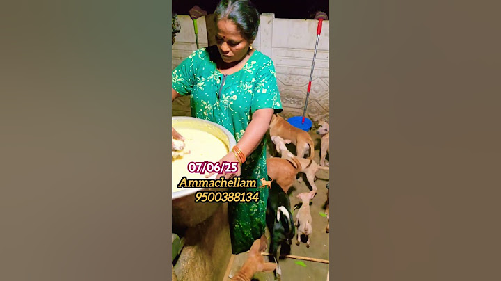 🙏❤️நம்ம🐶🐕பிள்ளைங்களுக்கு இன்றைய சாப்பாடு🙏#ammachellam#straydogs#food #shorts