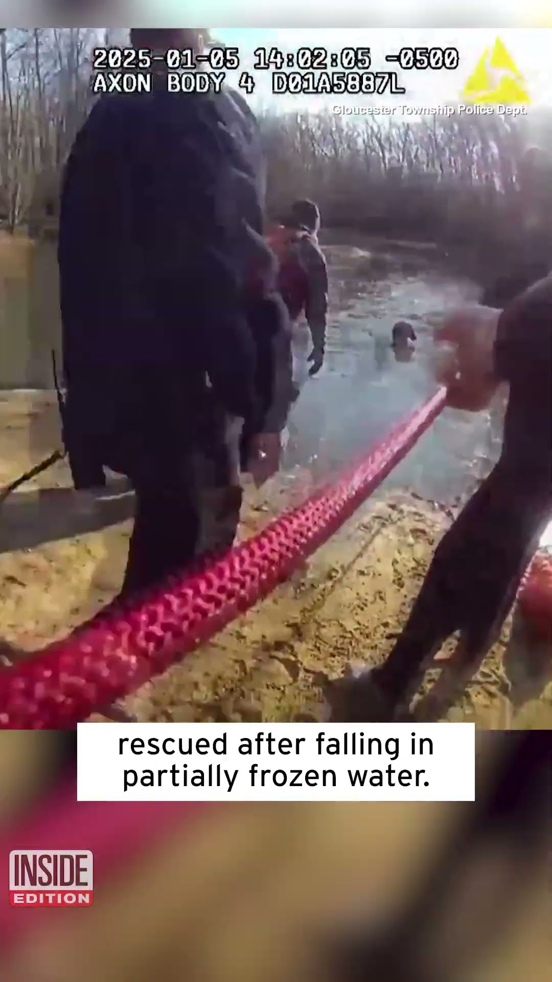 Woman and 2 Dogs Rescued After Falling in Icy Water #shorts