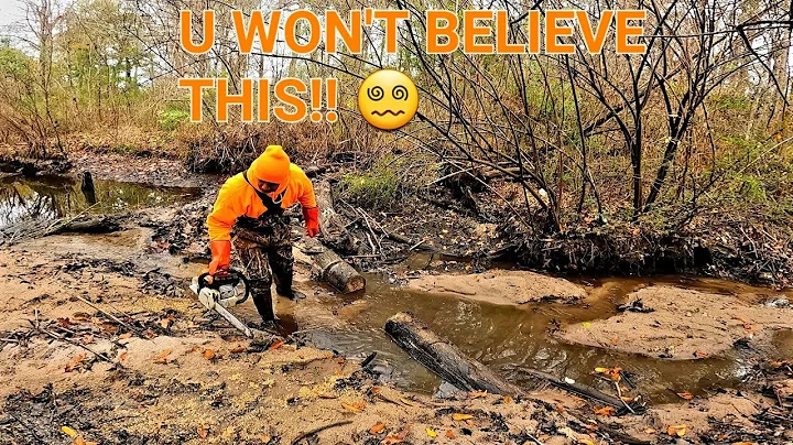 BEAVER DAM REMOVAL! || 2 Unpleasant Surprises In T...