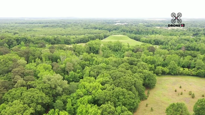 Ocmulgee Mounds National Historical Park in Macon, GA from Drone 13