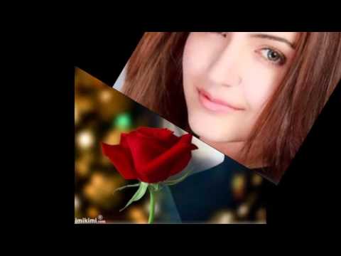 وحشانى اسلام