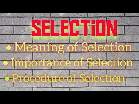 वीडियो: चयन प्रक्रिया क्यों महत्वपूर्ण है?