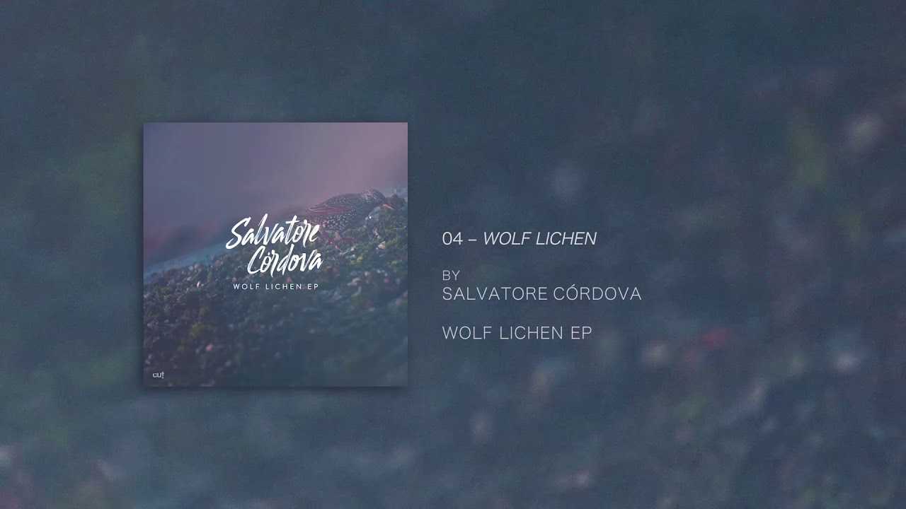 Salvatore Cordova - Wolf Lichen (Official Audio)