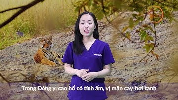 5 Bí ẩn về cao Hổ (Review)| Sự thật về Cao Cốt