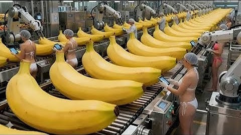 Inside a banana bread factory – An incredible automated production process