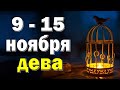 ДЕВА 👍 неделя с 9 по 15 ноября. Таро прогноз гороскоп