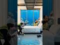 Hidden Underwater Container Home 🌊”