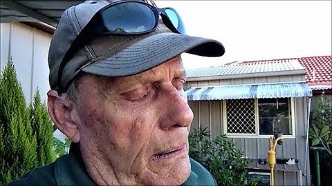 Sky, Cloud, Me, Dog & Cat & Some Other Ordinary Stuff 🙄