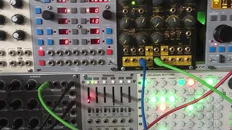 Cwejman vco-2rm & Schippmann Omega-Phi sequence by cirklon + ER301