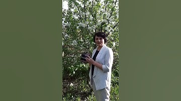 Результат по применению леденцов APL, аллергия