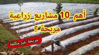 تعرف على أهم 10 مشاريع زراعية مربحة