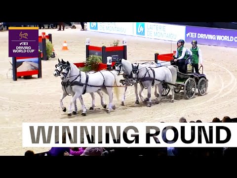 All hail Bram Chardon, King of the carriage! 🏆 |  FEI Driving World Cup™ Final 2023/24 Bordeaux