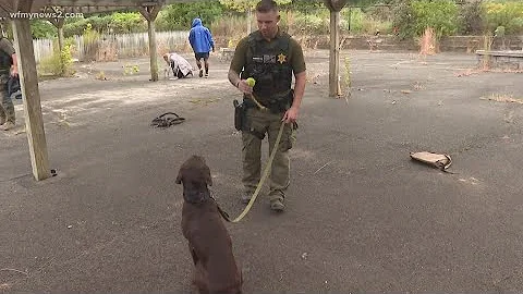 This K9 officer can sniff out guns in backpacks