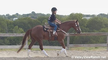 Call For Honor - riding lessons! - ValleyViewRanch.net