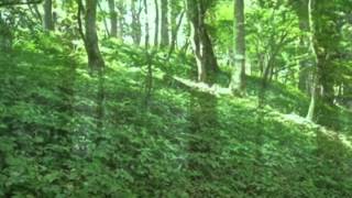 ともだち いつもいっしょ Gontiti Cover ゴーイングマイホームbgm Youtube