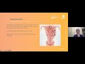 Webinar: Endometriosis and planning to conceive
