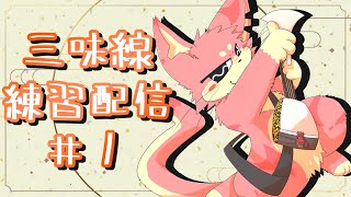 【三味線】べんべん練習配信！#1【ケモV】