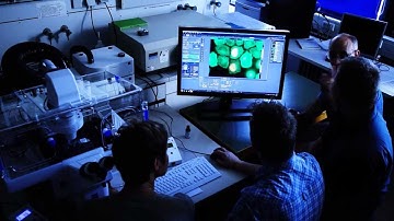 ZEN Imaging Software by ZEISS - Smart Setup