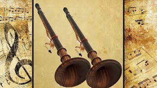 Nadaswaram \u0026 Thavil | Classical Instrumental Music | Thaniavarthanam \u0026 Western Notes | MPN Brothers Nadaswaram \u0026 Thavil | Classical Instrumental Music | Thaniavarthanam \u0026 Western Notes | MPN Brothers