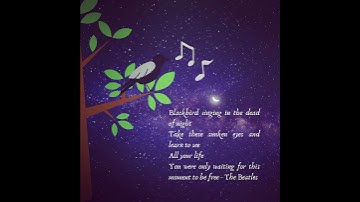 Thumbnail of Blackbird Song Lyric