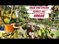 Tour por Vivero flores del hogar 💚🍀🌺🌻🌼| Jardín Diaz