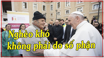 Lời Mời Gọi Của Đức Giáo Hoàng Phanxicô Cho Toàn Thể Dân Chúa - Church News