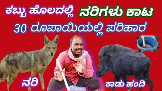 30 ರೂಪಾಯಿ  ಕಬ್ಬು ಹೊಲದಲ್ಲಿ ನರಿಗಳ ಕಾಟ || Fox  attack in sugarcane #fix in 30 Rupees✅