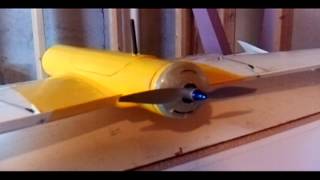 Foamaroo Maple Seed Spin Setup and Spin to Ground with TX turned OFF