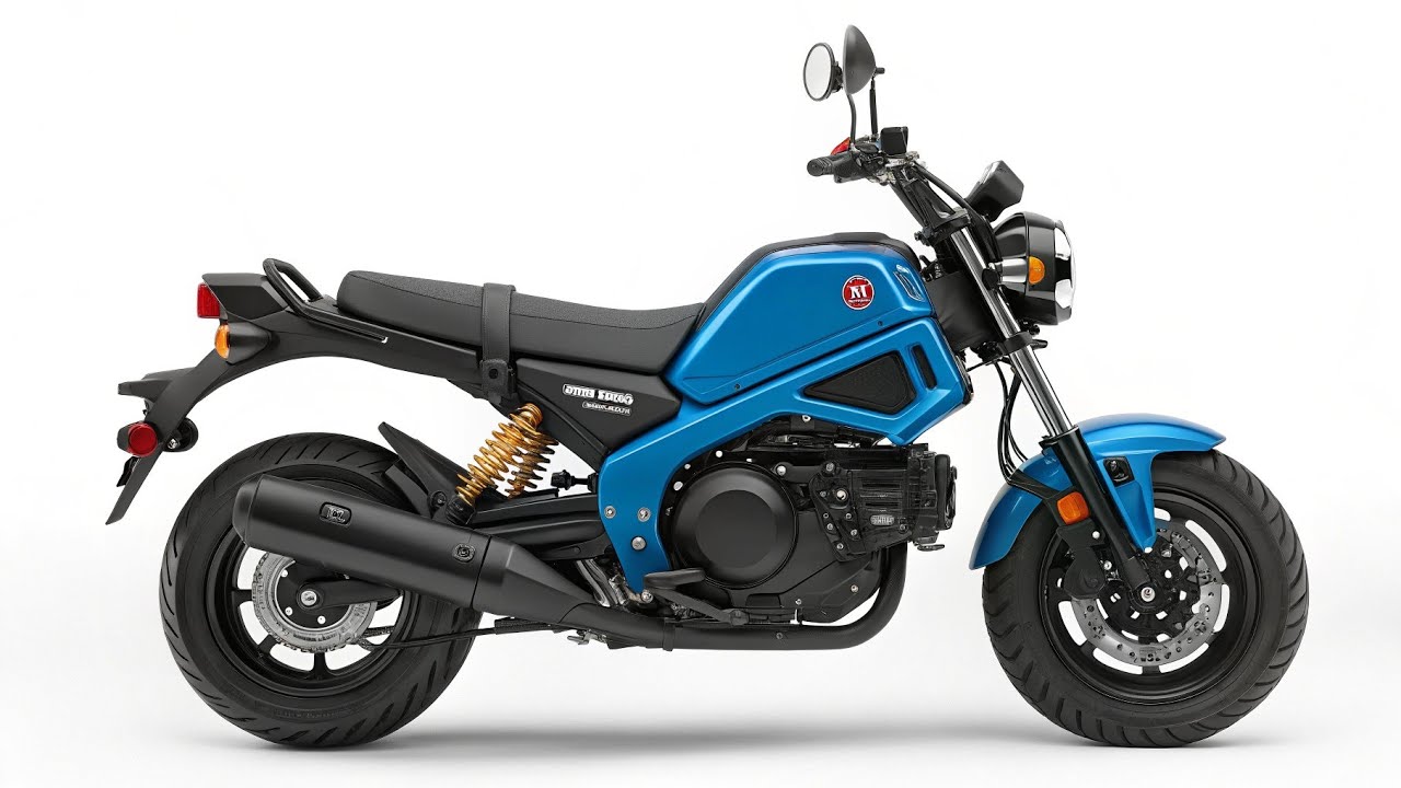 HONDA ZOOMERスペシャルエディション3000台限定カラー 中古車 ホンダ ZOOMER スペシャル エディション ブルー | 川口輪業
