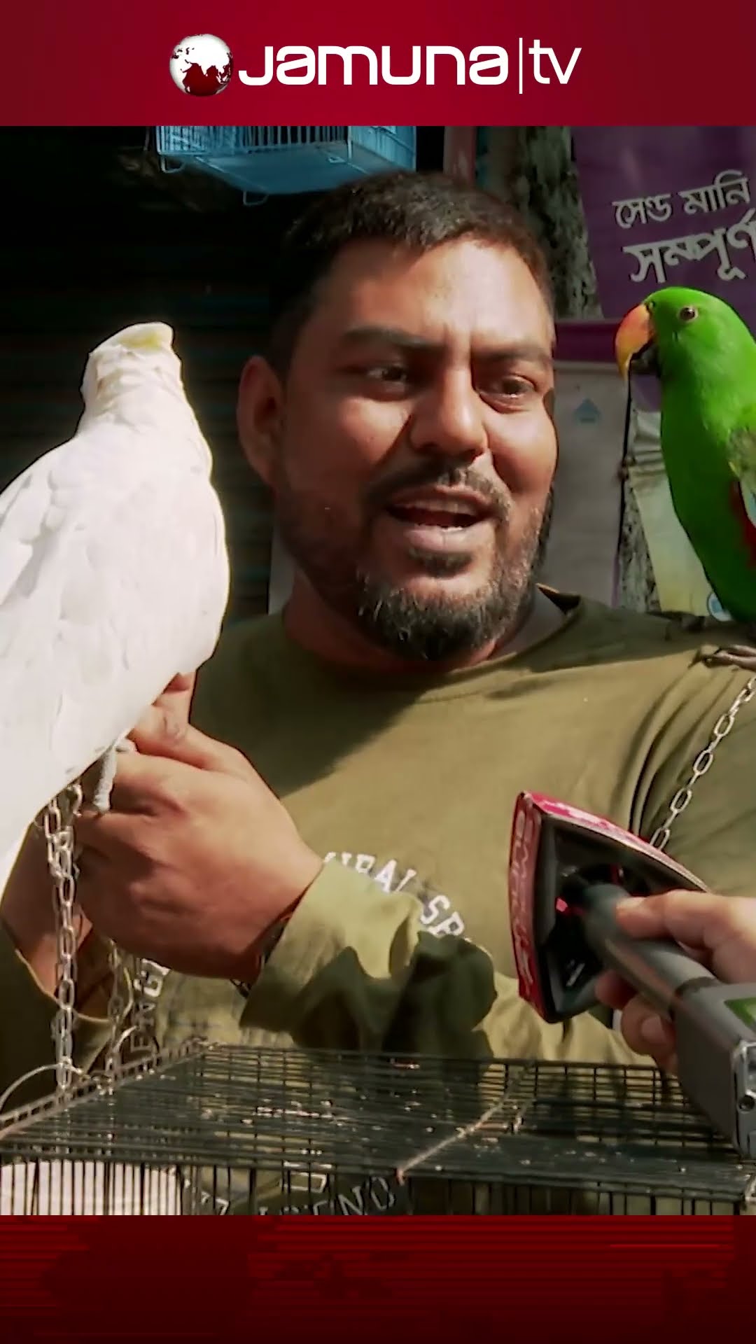 মিরপুরে বর্ণিল পাখির হাটে মিলছে হাজার থেকে লাখ টাকার পাখি #mirpur_1_birds_market #jamunatv