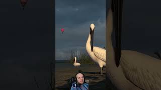 Вторая часть поселений DLC Южная Дакота в ATS #shorts