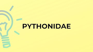 What is the meaning of the word PYTHONIDAE?