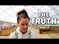 Sharing my truth... ps. it wasn't easy. (HOW I BECAME A SHEEP FARMER & HOW I'VE STAYED ONE) Vlog 346