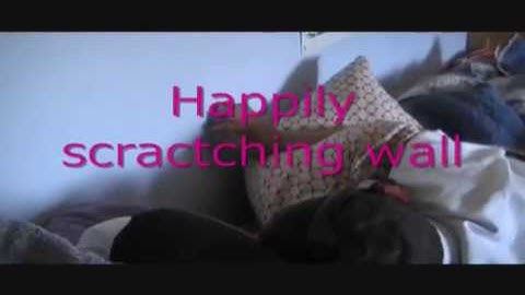 Calm After Self-Abusive Storm