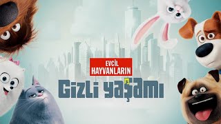 Cavidan Orucovdan Ev Heyvanlarının Gizli Yaşamı Mırt Dublyaj Full