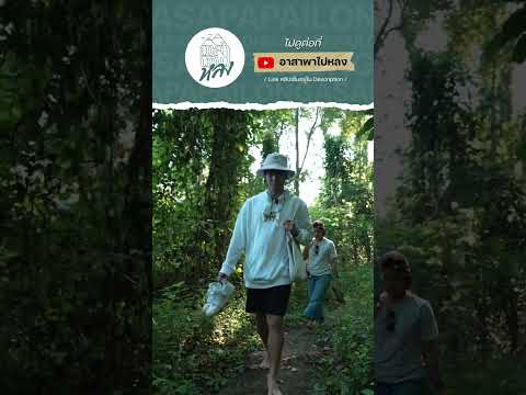 ทริปเที่ยวเชียงดาวกับคนแปลกหน้า 30 คน กับสิ่งเล็ก ๆ จากปลายหิมาลัย | อาสาพาไปหลง