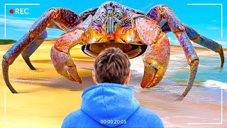あなたの知らない珍しい14の深海生物
