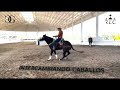 Presentación: Alejandro Goñi y Juan Ramos montando sus caballos y platicando de sus métodos