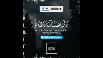 تلاوة هادئة تريح الأعصاب 😴🎧 القارئ: شريف مصطفى سورة: الحج 💙❤