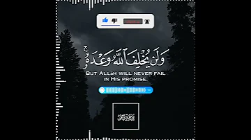 تلاوة هادئة تريح الأعصاب القارئ شريف مصطفى سورة الحج 