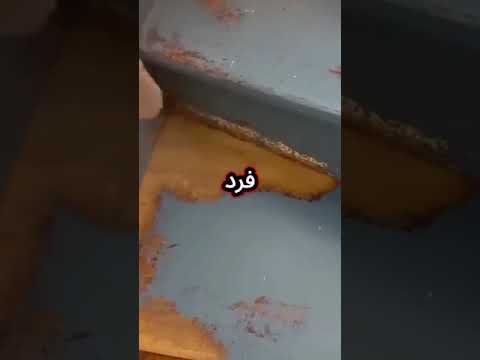 في مره كنت