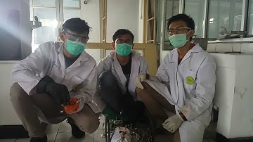 Al Majriti Supreme 1 0 by Drei Team