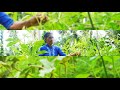 Traditional Food Home is live