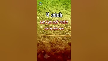4 cách cải tạo đất phèn hiệu quả #nôngnghiệphay #datphen #caitaodat #tips