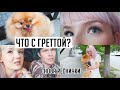 ЧТО С МОЕЙ СОБАКОЙ? 😢 Я СНОВА НАРАСТИЛА РЕСНИЧКИ!😎