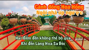 Khám phá nét đẹp Cánh Đồng Hoa Hồng - Ngôi Nhà úp ngược | Làng Hoa Sa Đéc.