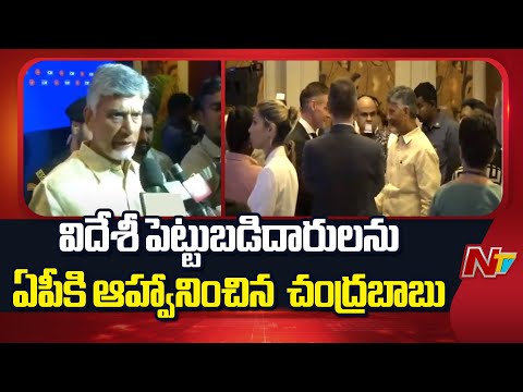 CM Chandrababu Invites Foreign Investors To AP | Delhi CII | NTV Telugu - NTVTELUGU