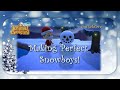 ACNH Making Perfect Snowboys | Animal Crossing Snowboys